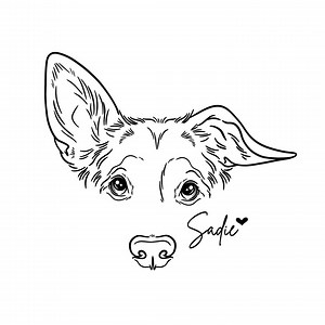 Custom Dog Line Drawing Portrait: Ear Outline, Tattoo Design (digital File Only) - Etsy