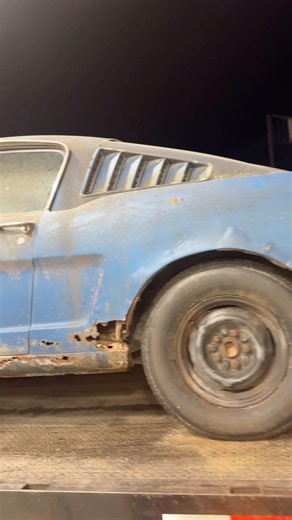 Rusty Mustang fastback project 289 4 speed manual 1966 1965 66 65 ford racing fairlane galaxy