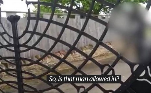 Footage shows a female reporter from The Telegraph denied entry at Muirfield Golf Club - known as an "old boys club" - where its members decided against allowing women to join their ranks. | The Telegraph
