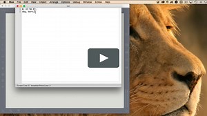 Using the "coll" object part 1