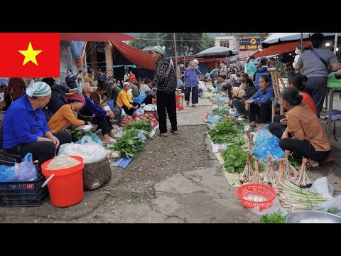 Vietnam Market: What Really Happens at Mãn Đức Market in Hòa Bình?