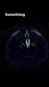 9K views · 162 reactions | Researchers built the largest map of the brain ever. With over 3,000+ identified cell types, this effort expands our understanding of brain function and complexity—key facets for solving brain disorders. The work is part of the Brain Research through Advancing Innovative Neurotechnologies initiative, and the data is openly available through multiple portals including CZ CellxGene. | Biohub | Facebook