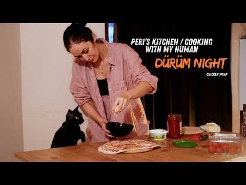 Cooking With My Human 😼 | Cat Chef Makes a Chicken Wrap