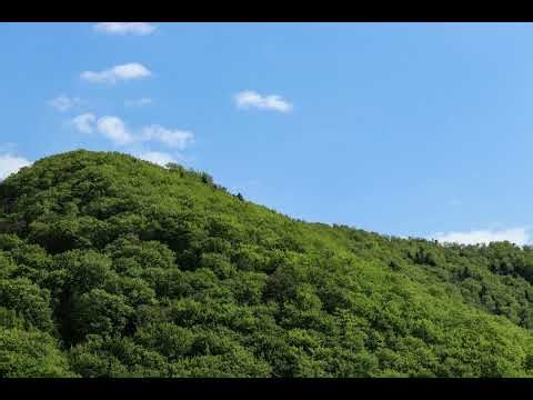 Lesson 100 - A Course in Miracles (ACIM) Workbook