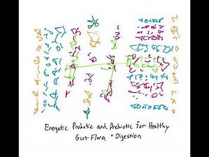 Light Language: Energetic Probiotic and Prebiotic for Healthy Gut Flora