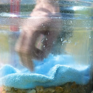 1.8M views · 35K reactions | Great Ways To Filter Water | Crafty School | Facebook