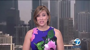 'Gorilla crow' spotted in Japan is taking internet by storm