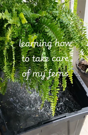 Embracing Slow Living on My Porch