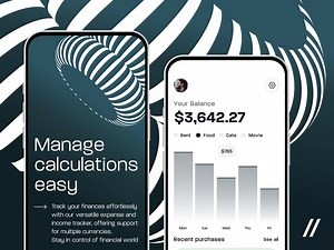 Money Tracker Mobile iOS App