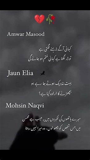 John Elia Poetry 💔🥀#urdushayari #poetryurdu #quotes #sad #viral