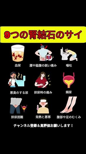腎結石のサイン9つ 絶対に見逃さないでください #腎結石 #腎臓 #健康情報 #体のサイン #血尿 #腰痛 #健康管理 #医療情報 #ショーツ #健康習慣