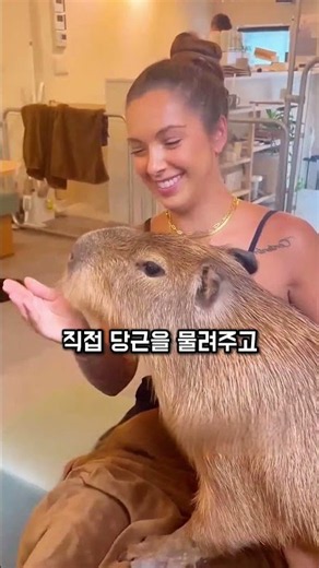 The mouse that became the most enviable animal in the world❣️