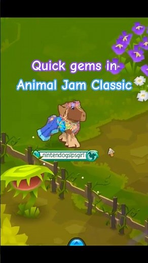 How to Make Quick Gems in Animal Jam Classic! (Working 2025) #animaljam #shorts