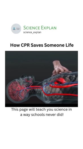 Science Explan on Instagram: "Cardiopulmonary resuscitation (CPR) is an emergency treatment that's done when someone's breathing or heartbeat has stopped. For example, when someone has a heart attack or nearly drowns. CPR can help save a life. . . . . . #fypp #explorepage✨ #viral"