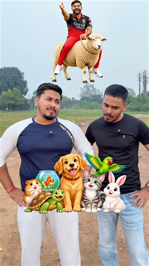 Can i guess virat kohli ride animal #shorts #viratkohli #animal #viral #trending #relatable #explore