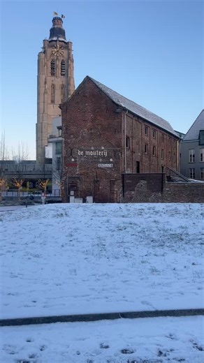 Onder een zacht sneeuwtapijt verandert onze stad in een winters sprookje ❄️ | Visit Oudenaarde