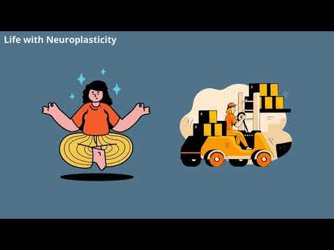 The Science of Neuroplasticity Explained