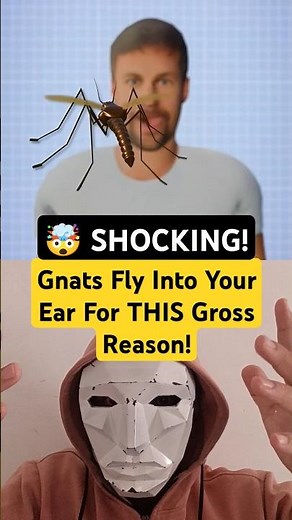 🤯 SHOCKING! Gnats Fly Into Your Ear For THIS Gross Reason!