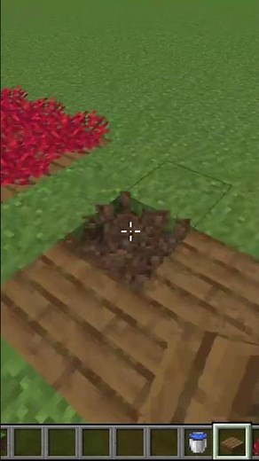 Korallenteppich in Minecraft bauen