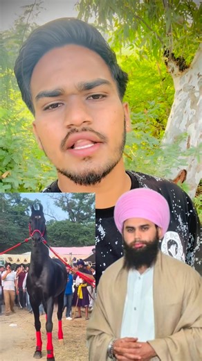 kala mansa on Instagram: "ਪੁੱਤਾ ਵਾਂਗੂ ਪਾਲਣੇ ਪੈਂਦੇ 🔥👍 @kala_pb31 @baba_gurwinder_singh_ji_kheri #viral #viralreels #viralnews #animallovers #horselovers"