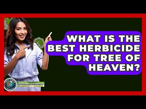 What Is The Best Herbicide For Tree Of Heaven? - Earth Science Answers