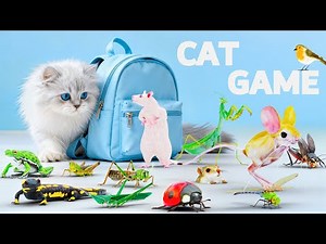 CAT Games | Ultimate 3D CAT VIDEOS FOR CATS TO WATCH | CAT TV For Feline Friends | 8 HOURS
