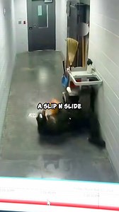 Just a Cop... Flying Into Action Literally 😆 🎥:mudd5900 TT #CopHumor #Comedy #Cop #Cops #Police #Reels | CopHumor_