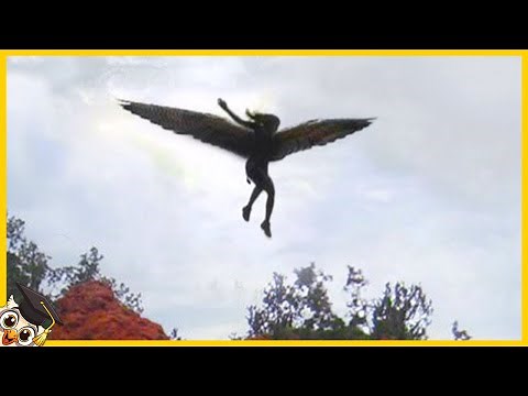 15 Real Angels Captured On Camera