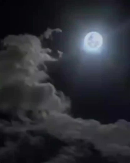 Madison Beer - Reckless Lyrics Video