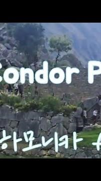 남미 여행중인 유친님이 보내준 영상으로 El Condor Pasa 연주 해 보았습니다.