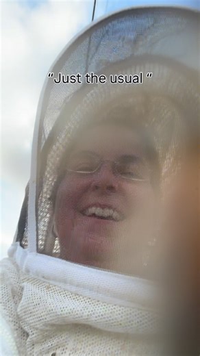 Just a day at work. When bees are upset, for a multitude of reasons, they can follow you for a time or distance. I bothered them in their hive and just had to walk for a half mile until they decided I wasn’t the threat, or they were done with me. It’s all good. If you take off your suit too soon, you’re likely to end up with a fat lip or eye 😂 Ain’t nothin’ but a sting 😂🫶🏼🐝 #tips #bees #garden #beekeeper #patience #neighbors #crazy #lady | Hughes Farm & Apiary