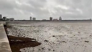This is what Florida's Tampa Bay looks like as Hurricane Ian’s counterclockwise winds blow the water out to sea. The bay is now less than a foot deep in some areas, but the water will eventually return and could rise dangerously quickly in minutes. https://nyti.ms/3CfbQzA | The New York Times