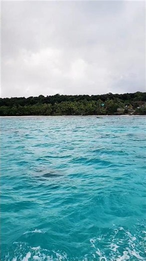 New Caledonia Scenic Crystal Blue 🤩 Waters #newcaledonia #beach #ocean #scenicviews #scenery