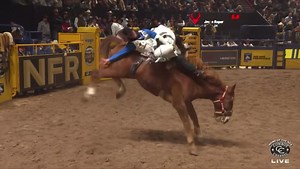 51K views · 1.9K reactions | “Right on Q” won Top Bareback horse of Round #2 at the Official NFR Experience . “Right on Q” is named after our very own Quincy Cotton Rosser. #rosserrodeo #flyingurodeo #wrangler #priefert #YETI | Flying U Rodeo Company | Facebook