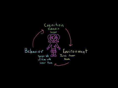 Reciprocal determinism