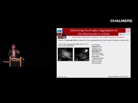 William E. Moerner: Single-Molecule Spectroscopy, Blinking, and Photocontrol