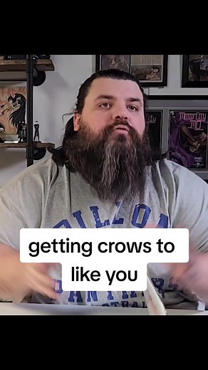 Making Friends with Crows: The Ultimate Guide