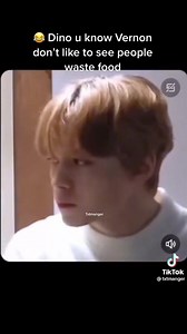 Vernon's face gets me every time. It's so funny! (vcr. | Tiktok: @txtmanger) - Iya | Hansology