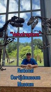 “Raptors” Are Really Dromaeosaurids