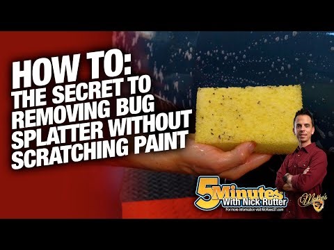 The Secret To Removing Bug Splatter Without Scratching Paint