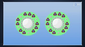 Video: Colloidal precipitates