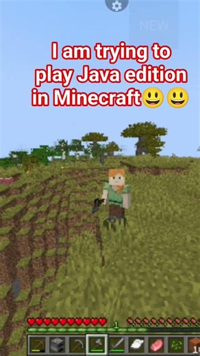 I am trying to play Java edition in Minecraft