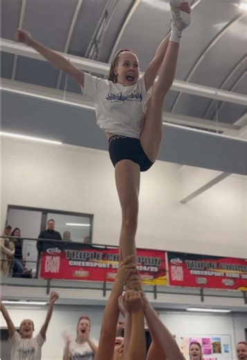 Reef Sharks Dominate the Stunt Circle