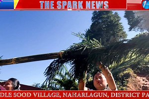 14K views · 300 reactions | Welcome to one and all! The Silver...