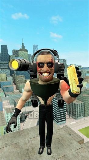 burrito or chicken wrap to eat skibidi toilet