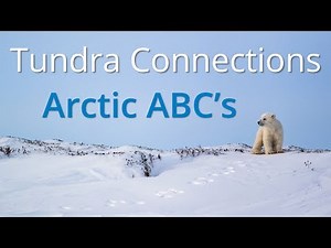 Arctic ABC's