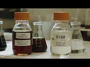 Part II: Biodiesel 101: What Is Biodiesel, Who Uses It & How Is It Produced