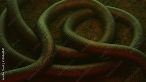 3D animation of a giant dragon snake body moving