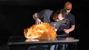 9mm vs 10mm Which is Best for Bear Defense? ~ Vortex Nation Cartridge Talks