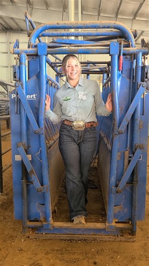 Livestock Exhibitors- validation deadline approaching! November 10, 2025 is the deadline for Beef & Dairy Commercial Heifers, Market lambs & Commercial Ewes, Market Goats & Commercial Does as well as beef, sheep, goat, and dairy breeding animals. All animals must be validated in 4-H online. Commercial and market animals will also submit a DNA sample and ear tag the animal. | Louisiana 4-H